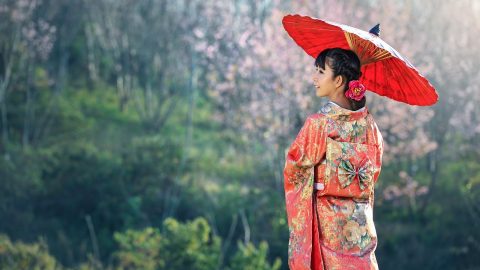 御姐文化溯源专题封面图，展示从日本二次元文化到中文互联网语境的演变脉络，配色紫色与绿色相间体现专业感